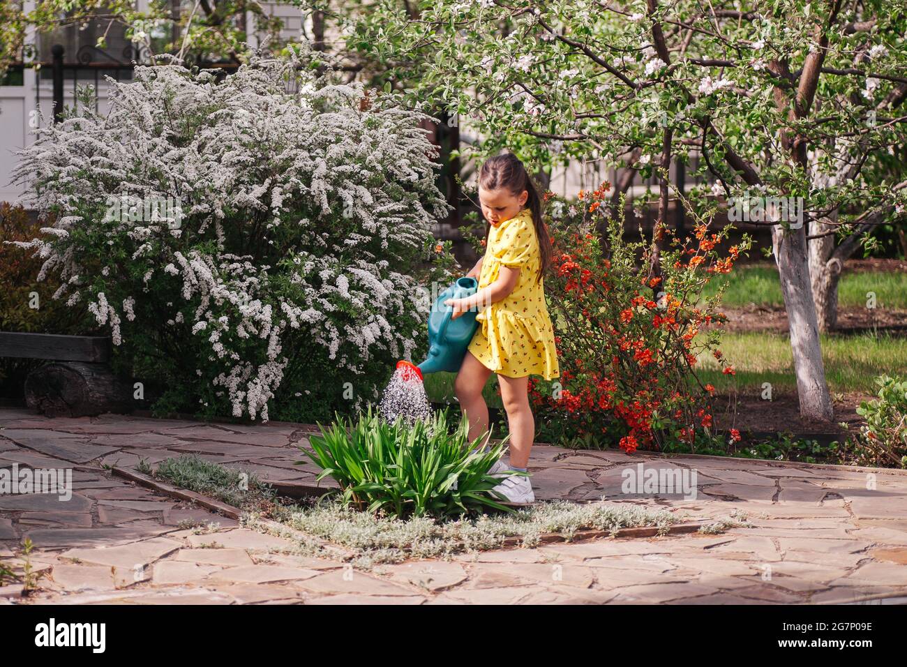 Ein kleiner Gärtner wässert Blumen aus einer Gießkannenblüte, ein Mädchen gärtt im Hinterhof und hilft ihren Eltern mit dem Garten Stockfoto