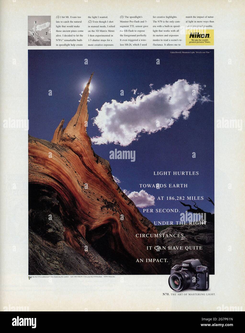 Tree TrunkFull Page Werbung vom Life Magazine, Ausgabe Januar 1996, USA Stockfoto