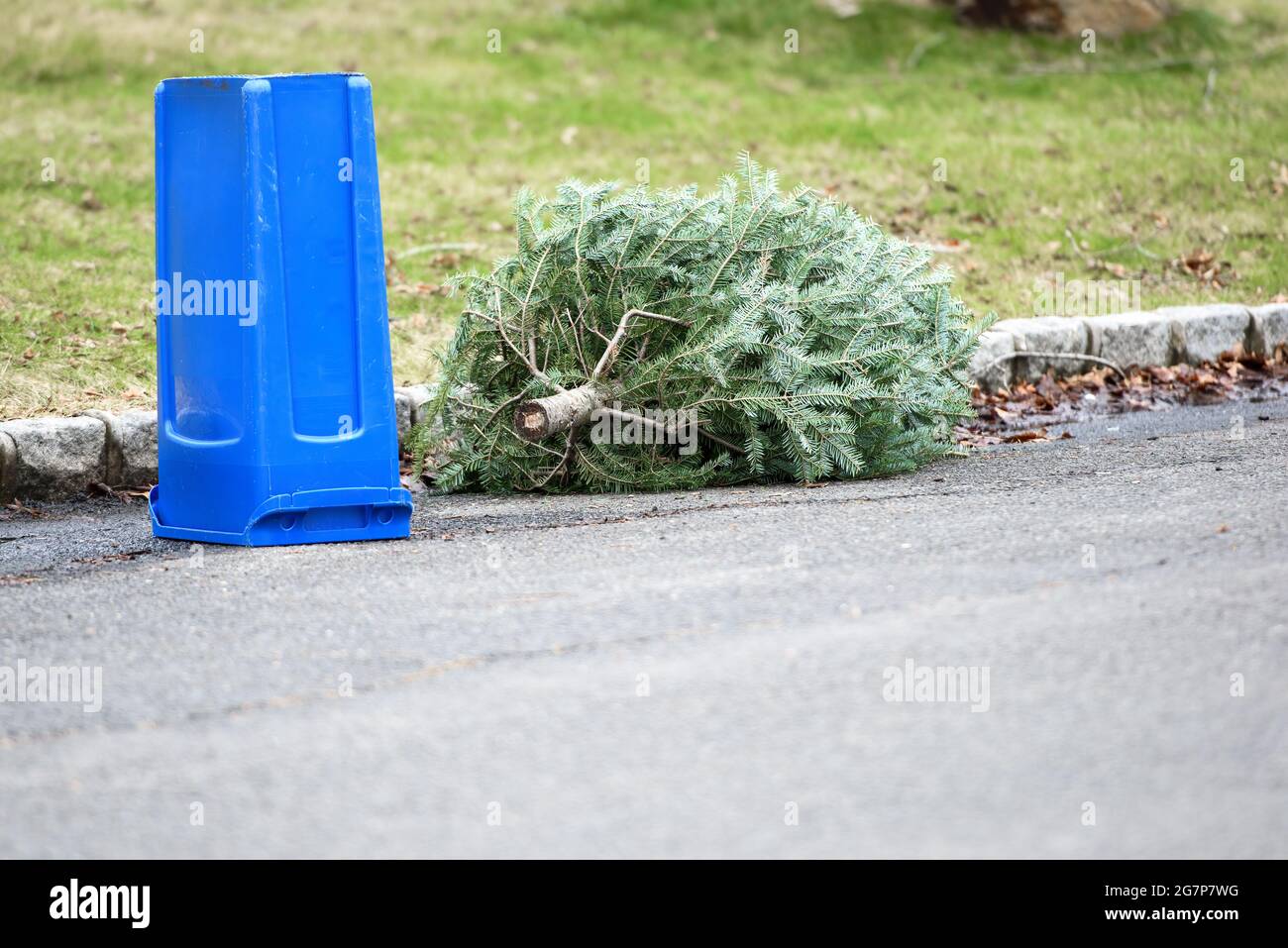 Weihnachtsbaum auf der Straße neben einer leeren, blauen Recyclingkanne. Stockfoto