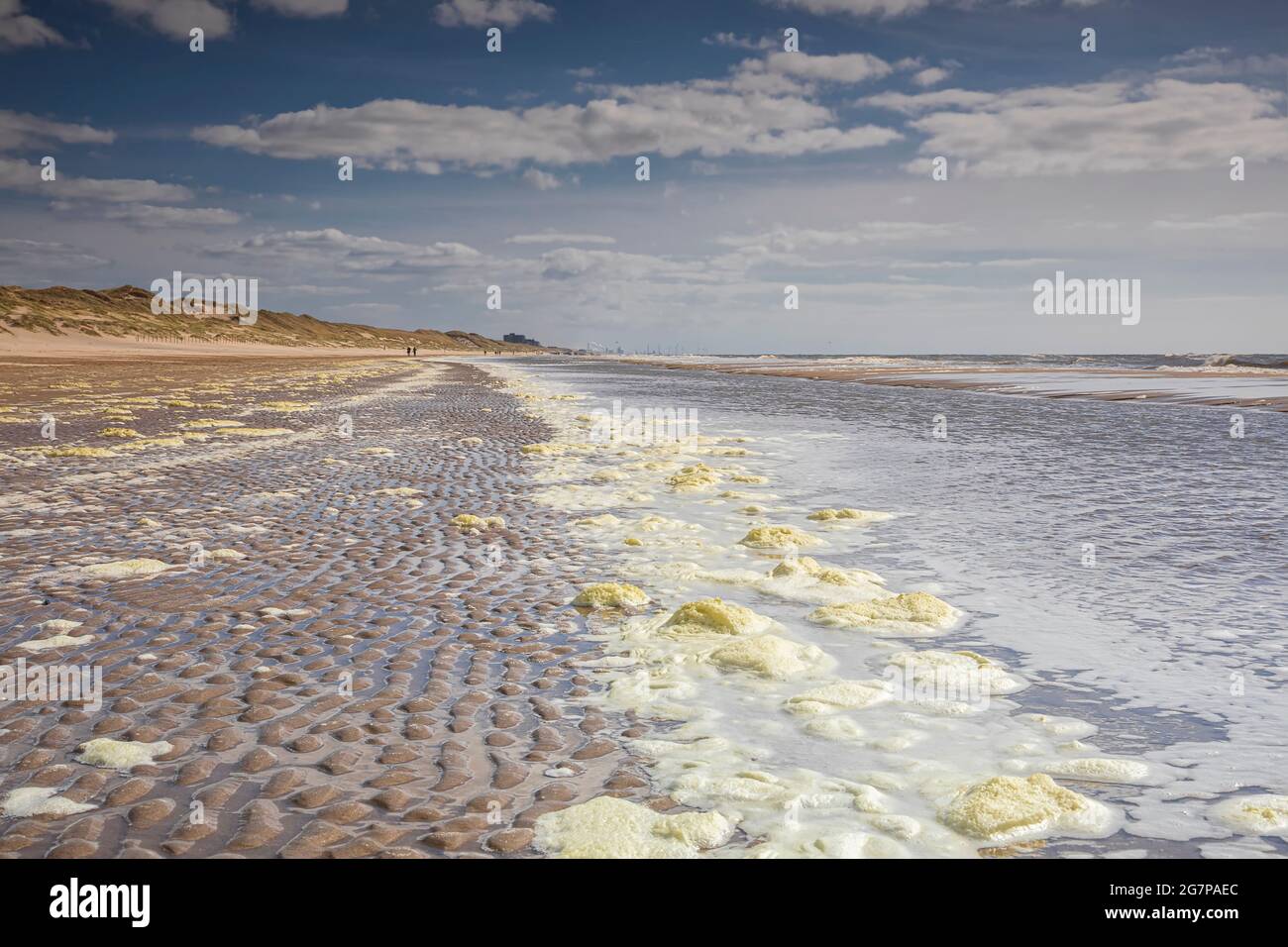 Surfen Sie am Strand nach dem Sturm, Holland Stockfoto