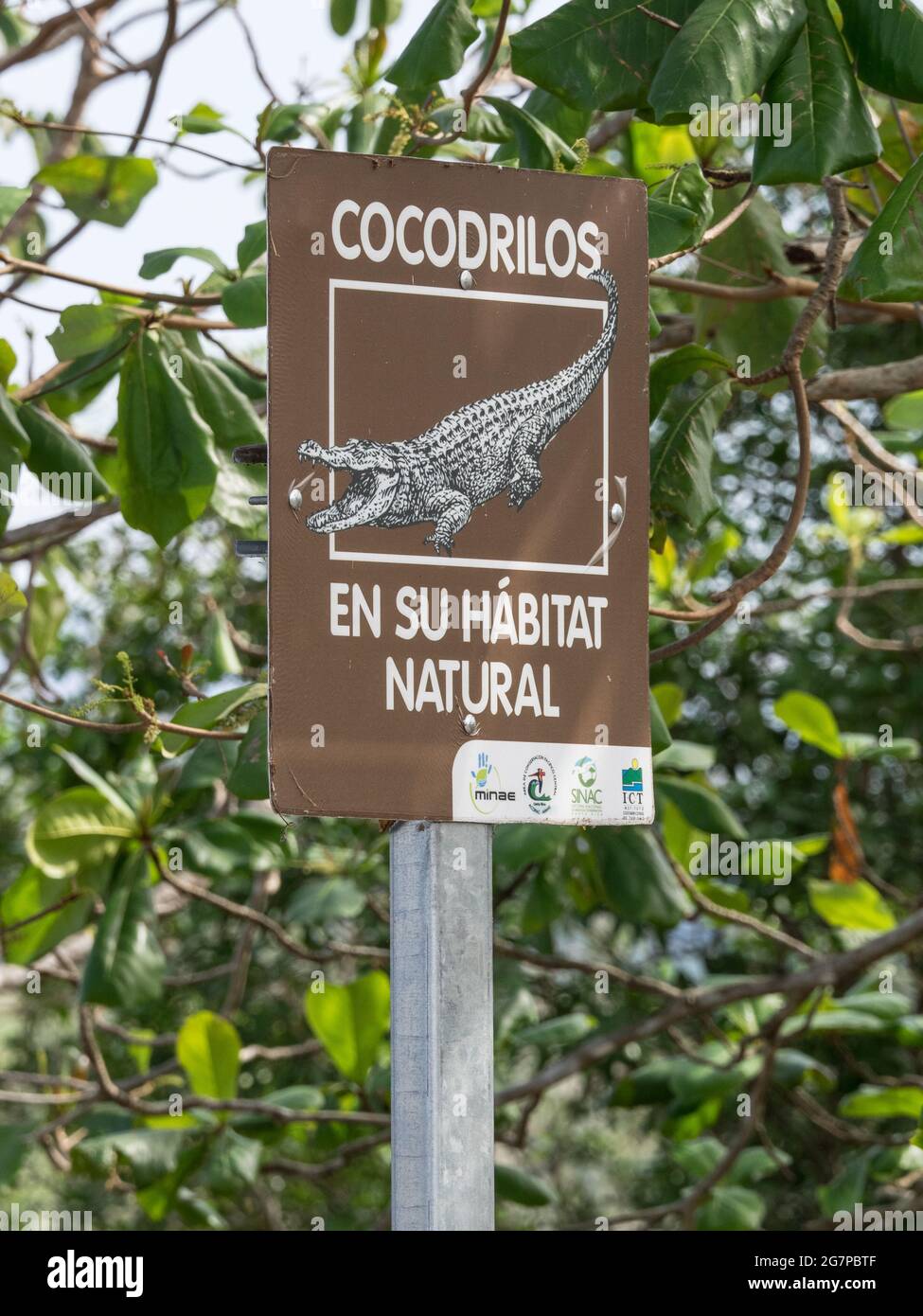 Schild mit Angaben zu Krokodilen natürlichen Lebensraum in der Nähe der Tarcoles River Brücke, Costa Rica. Stockfoto