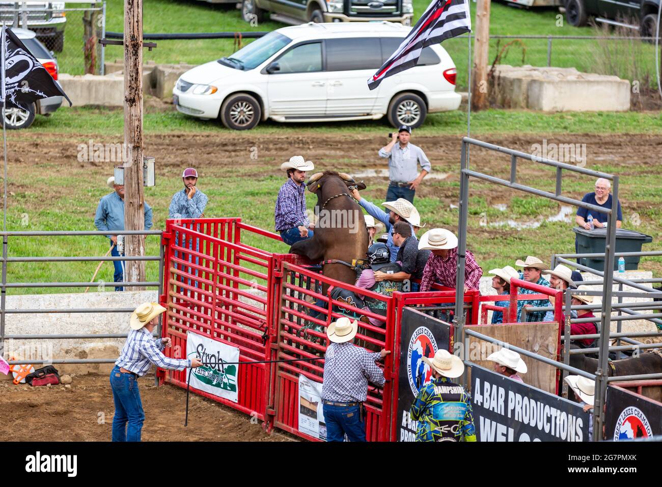 Ein wütender Bulle versucht vor einem Rodeo-Event auf dem Noble County Fairgrounds, Kendallville, Indiana, USA, dem Bullpen zu entkommen Stockfoto