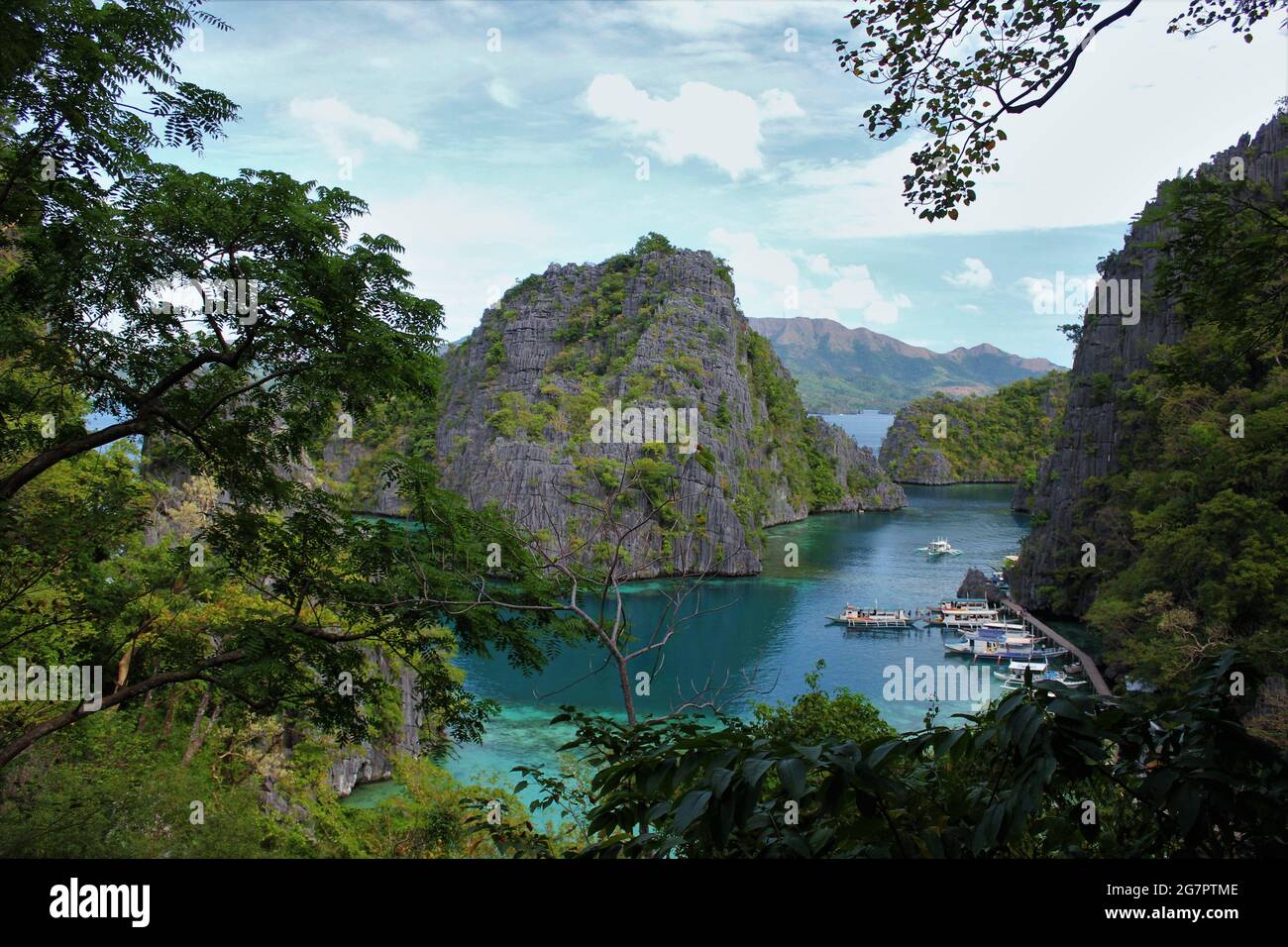 Ein kühler, versteckter See in Coron, Palawan, Philippinen mit Stützen Stockfoto