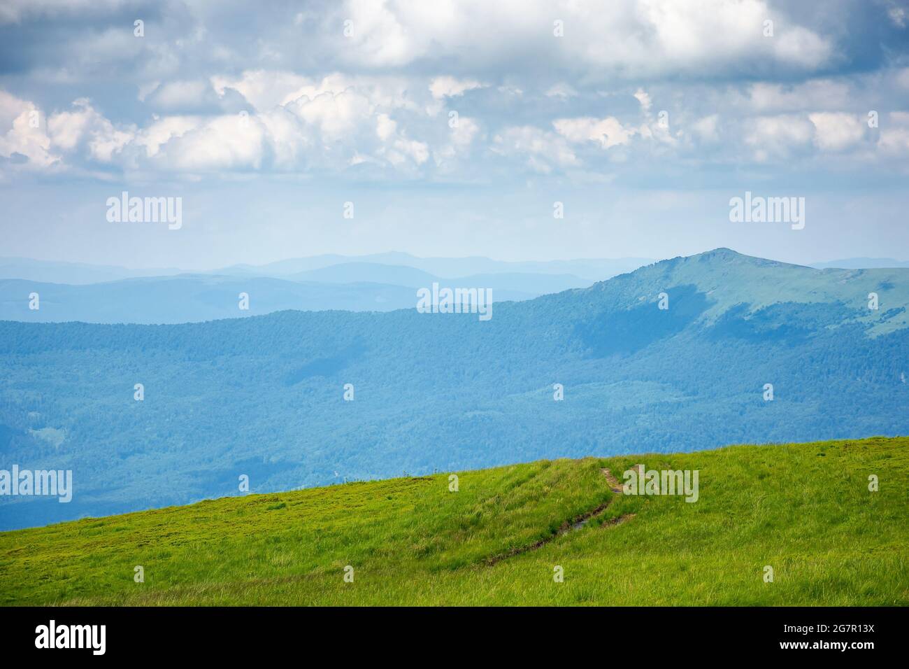 Idyllische Sommerlandschaft. Wiese und hoher Gipfel in der Ferne. Sonniges Wetter mit flauschigen Wolken am blauen Himmel. Grüne und blaue Farbe in der Natur Stockfoto