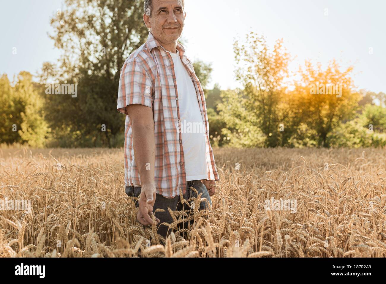 Mann Bauer in einem karierten Hemd mit positiven Emotionen in einem Weizenfeld Stockfoto