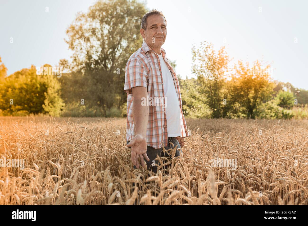 Mann Bauer in einem karierten Hemd mit positiven Emotionen in einem Weizenfeld Stockfoto