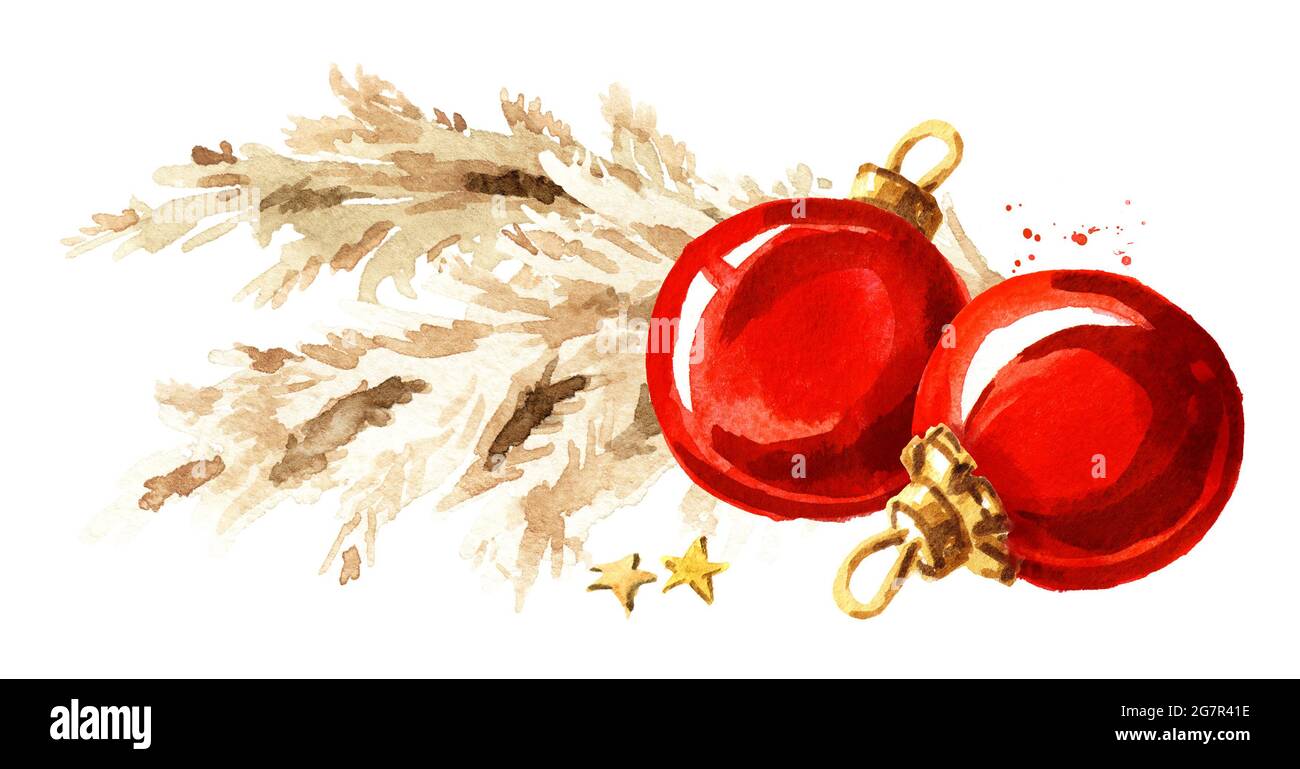 Weihnachtskomposition mit Pampas Gras und roten Kugeln. Aquarell handgezeichnete Illustration isoliert auf weißem Hintergrund Stockfoto