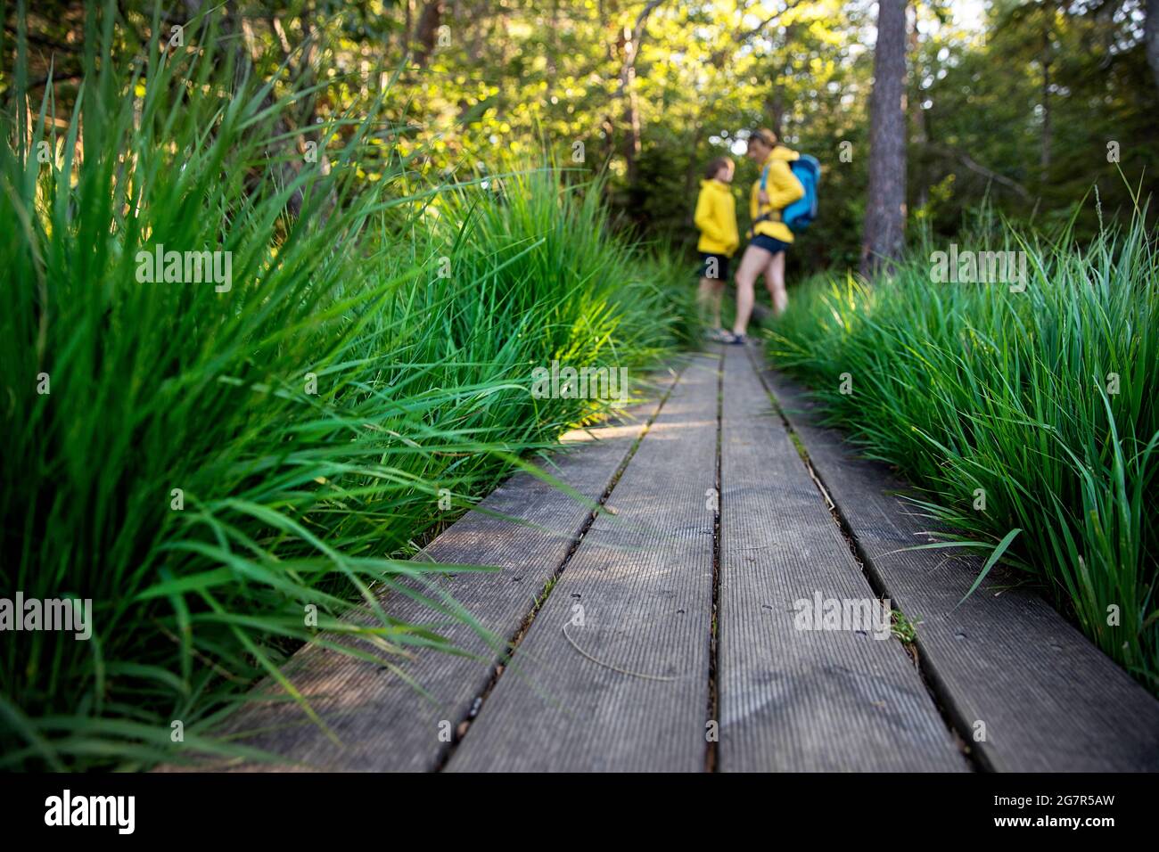 Schöner Holzweg mit grünem Gras, der zum Bergsee Egelsee in Kärnten führt, Mutter und Sohn gehen in Richtung des Sees in Österreich Stockfoto