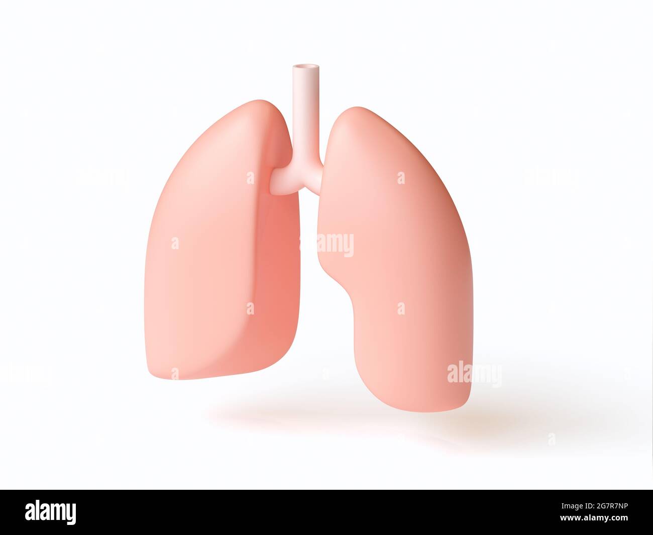 Isometrische 3d-Darstellung von stilisierten menschlichen Lungen, isoliert auf Weiß. Inspiriert von flachen Designtrends Stockfoto