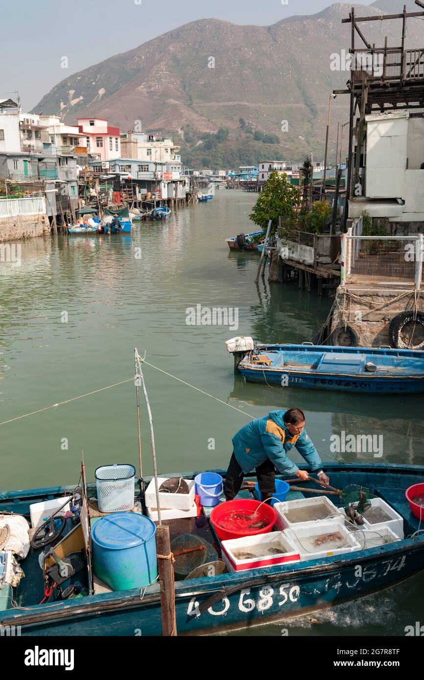 Ein einheimischer Fischer sortiert seinen Fang, bevor er ihn von seinem Boot in Tai O, Lantau Island, Hongkong, zum Verkauf anbot Stockfoto
