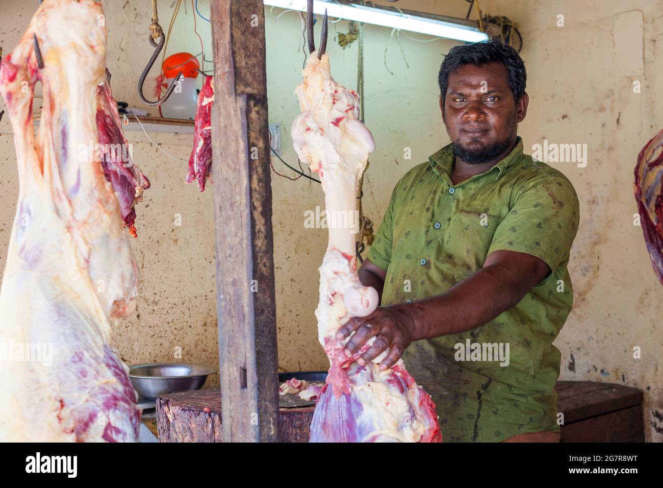 Nahaufnahme eines Metzgers neben rohem rotem Tierfleischkadaver, der an Fleischhaken in der Metzgerei, Fort Kochi (Cochin), Kerala, Indien, hängt Stockfoto