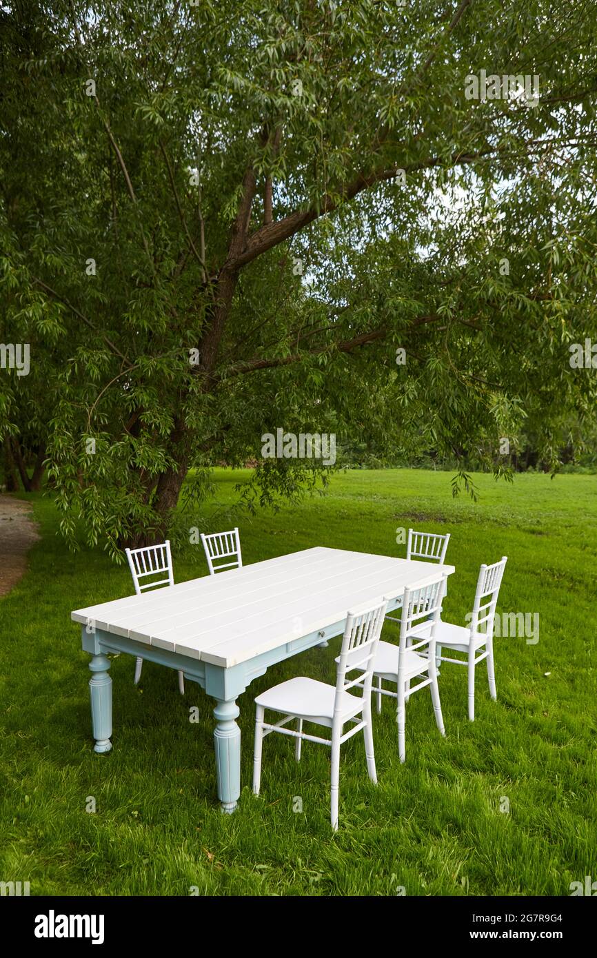 Weißer Tisch mit Stühlen auf grünem Gras unter üppigem Baum am Sommertag im Feld Stockfoto