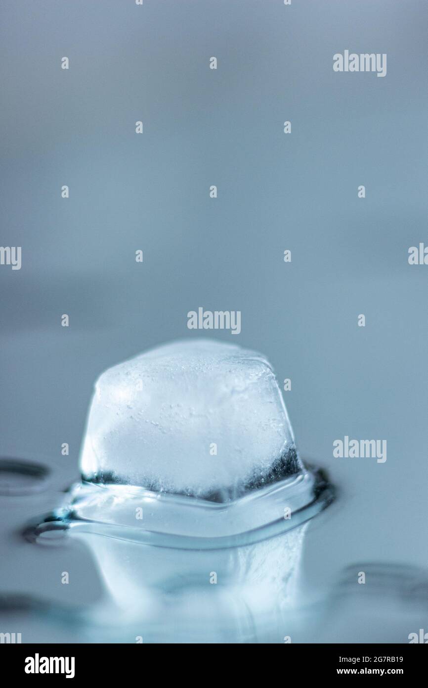 Stapel von Eiswürfeln mit Spiegelung; Eiswürfel schmelzen; erfrischende Getränke; kühlendes Wasser; sommerliche Erfrischung Stockfoto