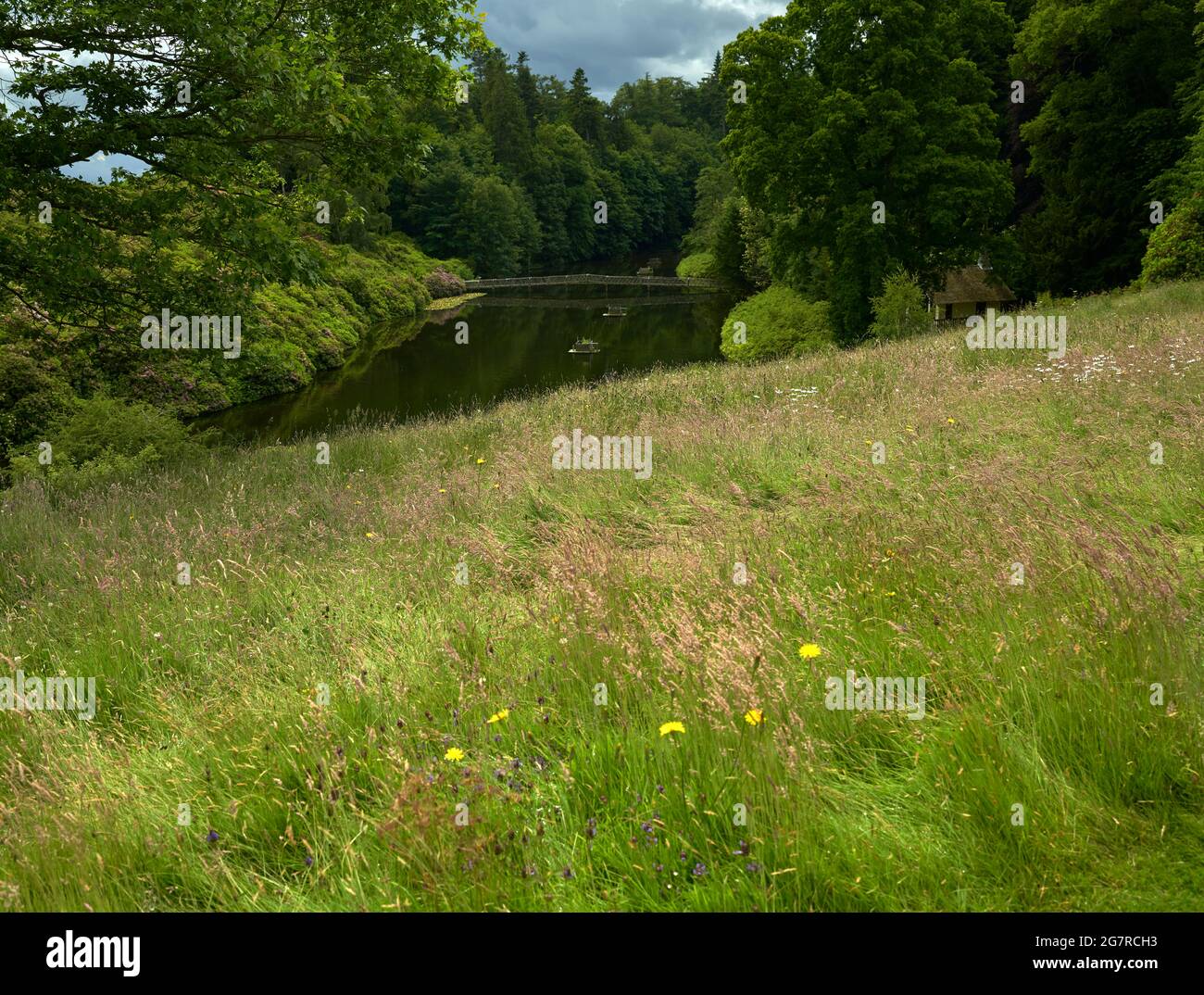 Rasen absichtlich entmähen, um die Vielfalt der Pflanzenwelt für Bestäuber zu fördern. Manderston House in den Scottish Borders. Stockfoto