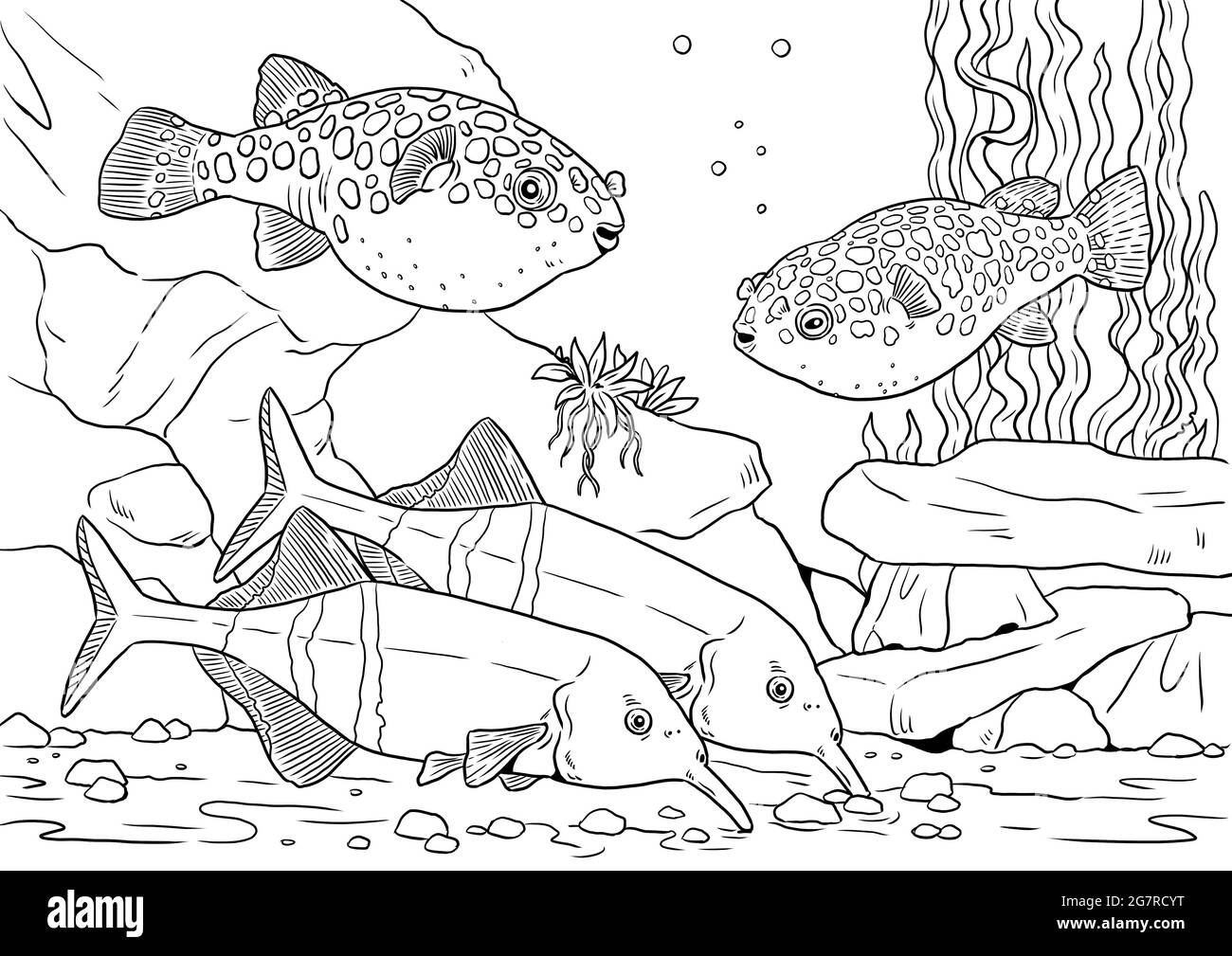 Aquarium mit tetraodon und Elephantnose-Fischen zum Färben. Bunte tropische Fische Vorlagen. Bild für Kinder und Erwachsene. Stockfoto
