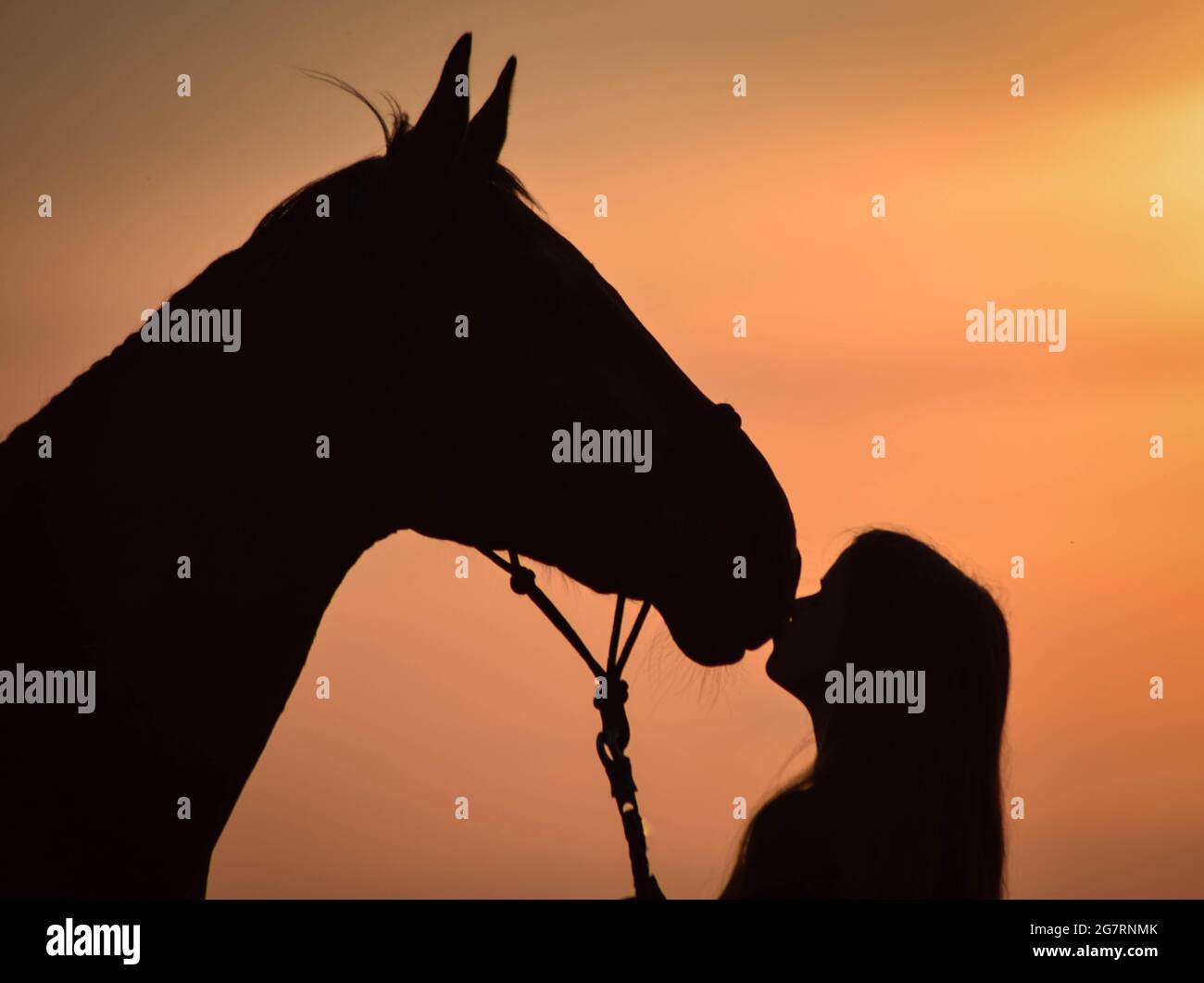 Ein Mädchen mit ihrem Pferd vor einer verträumten Sonnenuntergangslandschaft Stockfoto