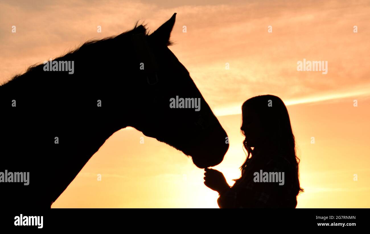 Ein Mädchen mit ihrem Pferd vor einer verträumten Sonnenuntergangslandschaft Stockfoto