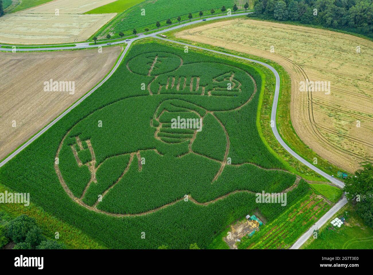 Selm, Deutschland. Juli 2021. Landwirt Benedikt Lünemann hat mit einer Silhouette einer Corona-Impfung und damit verbundener Forschung ein riesiges Labyrinth in sein Maisfeld gefräst. Aufgenommen mit einer Drohne. Seit mehr als zehn Jahren ist das Maislabyrinth auf dem Lünemann-Hof ein Programm mit jährlich wechselnden Motiven. In diesem Jahr hat Landwirt Benedikt Lünemann der Coronaimpfung und -Forschung ein kleines Denkmal gesetzt. Das Feld ist vom 16. Juli bis Ende Oktober geöffnet. Quelle: Guido Kirchner/dpa/Alamy Live News Stockfoto