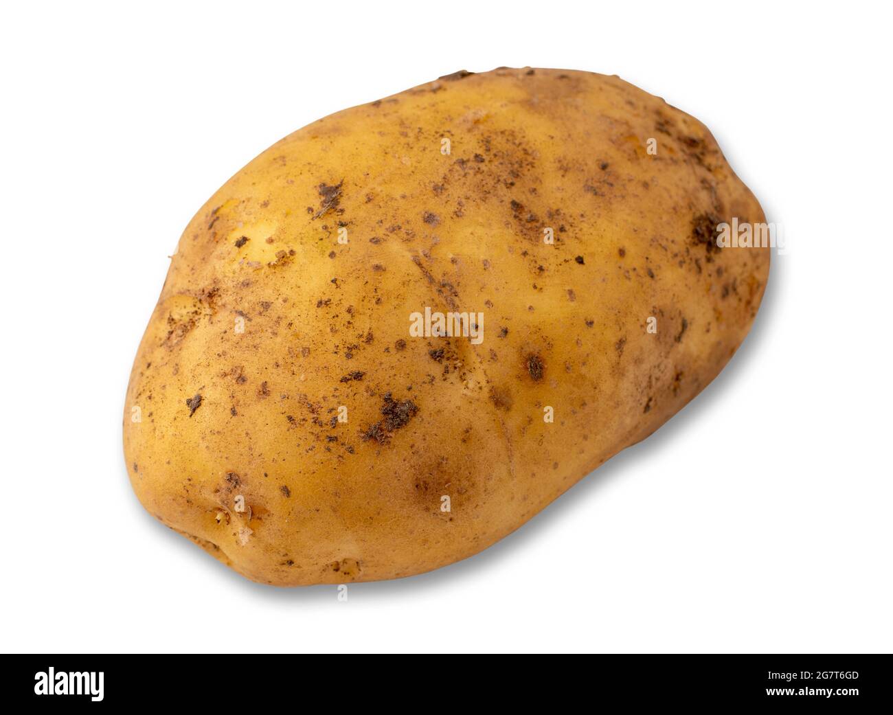 Gelbe Kartoffeln isoliert auf weißem Hintergrund Stockfoto