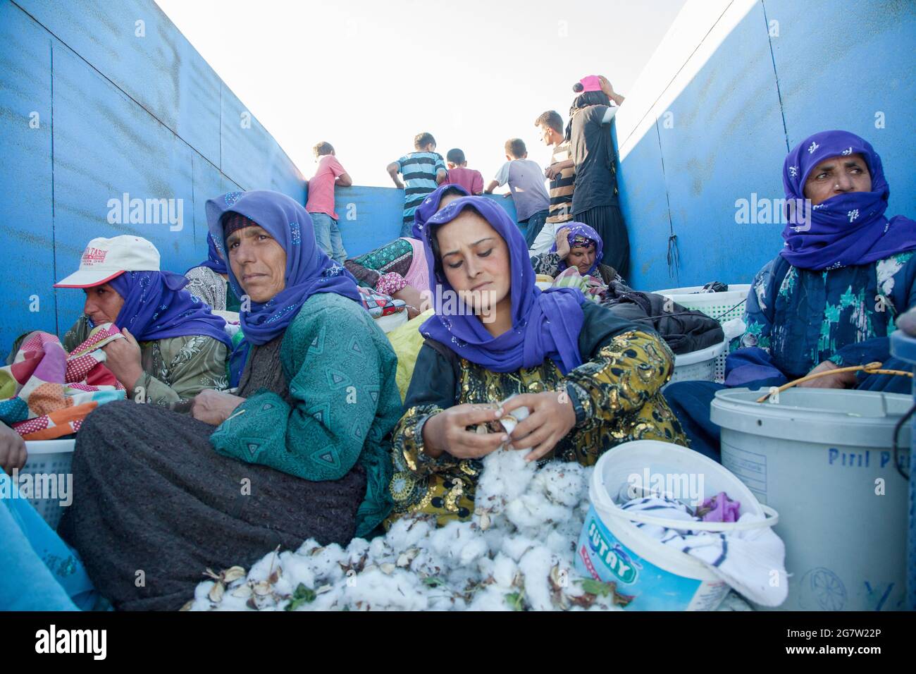 Adana / Türkei - 09/26/2014: Saisonarbeiter werden im Baumwollfeld arbeiten. Stockfoto