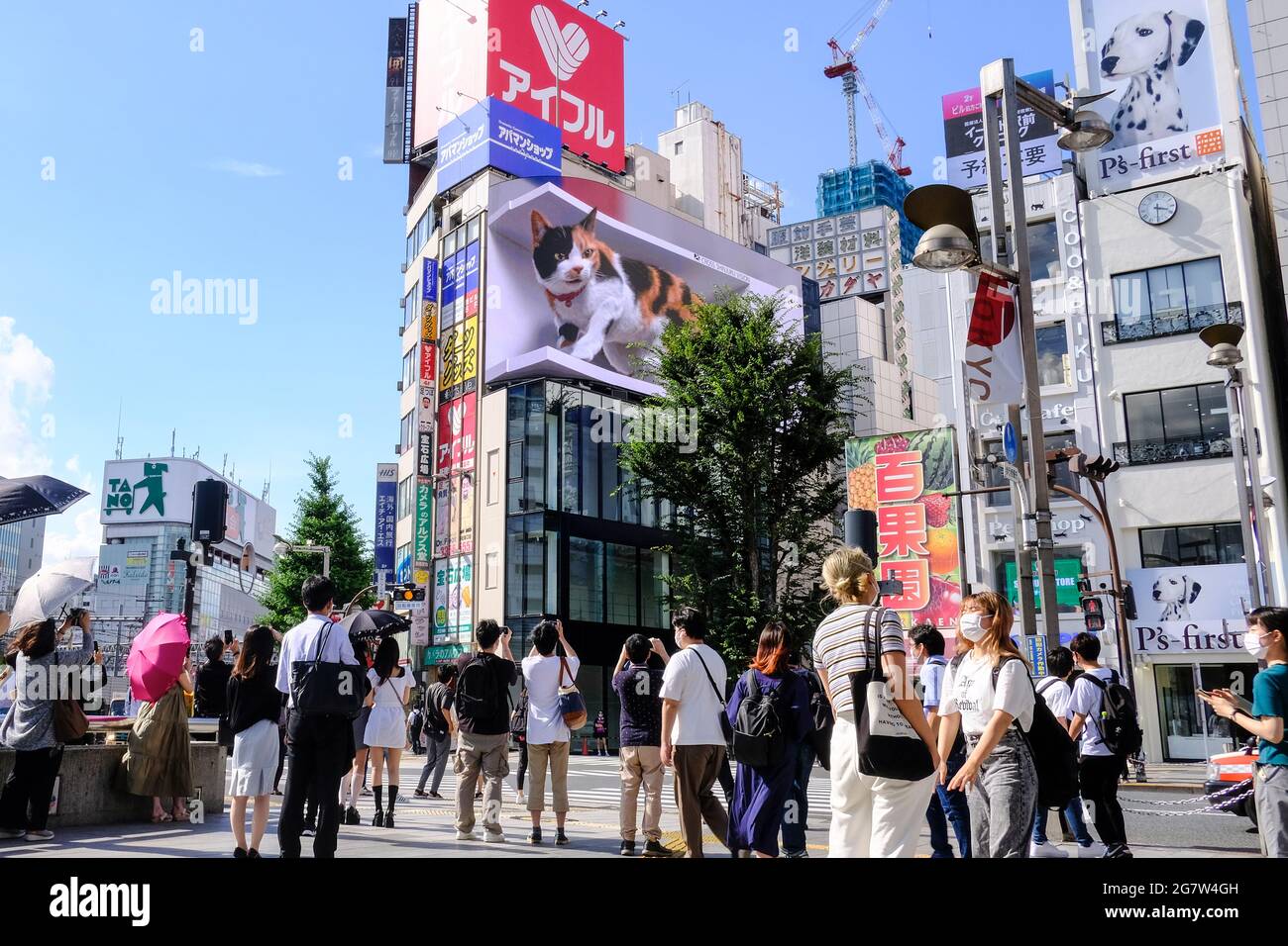Tokio, Japan. Juli 2021. Eine riesige Katze erscheint auf Shinjuku's 3D-Plakatwand.im geschäftigen Einkaufs- und Geschäftsviertel Shinjuku in Tokio wurde eine riesige 3D-Katze auf einer 4K-Plakatwand gezeigt, um die Menschen zu begrüßen. „Ich dachte, es war eine echte Katze“, sagt ein Fußgänger, der vorbeikam und Fotos machte. Einige Studenten sagen, dass die Katze wirklich niedlich und größer aussieht als das, was sie in den sozialen Medien gesehen haben. (Foto von James Matumoto/SOPA Images/Sipa USA) Quelle: SIPA USA/Alamy Live News Stockfoto