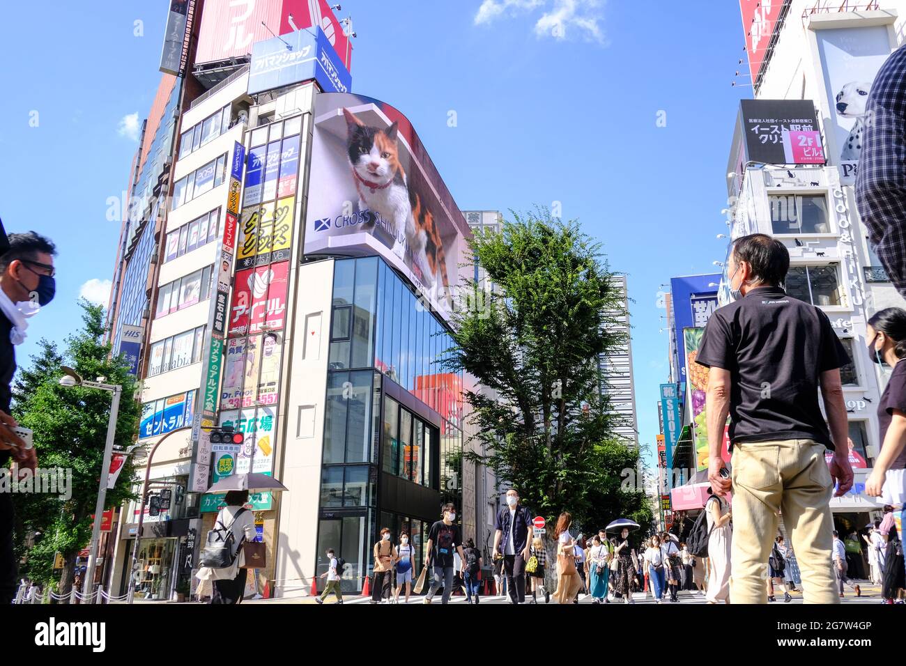 Tokio, Japan. Juli 2021. Eine riesige Katze erscheint auf Shinjuku's 3D-Plakatwand.im geschäftigen Einkaufs- und Geschäftsviertel Shinjuku in Tokio wurde eine riesige 3D-Katze auf einer 4K-Plakatwand gezeigt, um die Menschen zu begrüßen. „Ich dachte, es war eine echte Katze“, sagt ein Fußgänger, der vorbeikam und Fotos machte. Einige Studenten sagen, dass die Katze wirklich niedlich und größer aussieht als das, was sie in den sozialen Medien gesehen haben. (Foto von James Matumoto/SOPA Images/Sipa USA) Quelle: SIPA USA/Alamy Live News Stockfoto