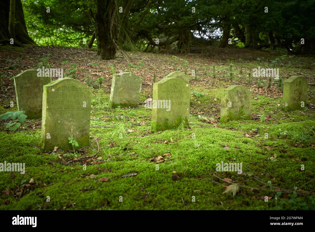 Tierfriedhof für Hunde auf dem Gelände des Manderston House in den Scottish Borders. Stockfoto
