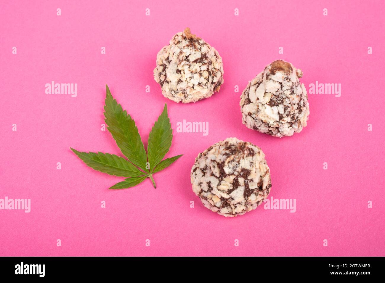 Cannabis Bonbons Schokolade Trüffel Bonbons mit Nüssen und grünem Blatt Marihuana auf rosa Hintergrund. Stockfoto