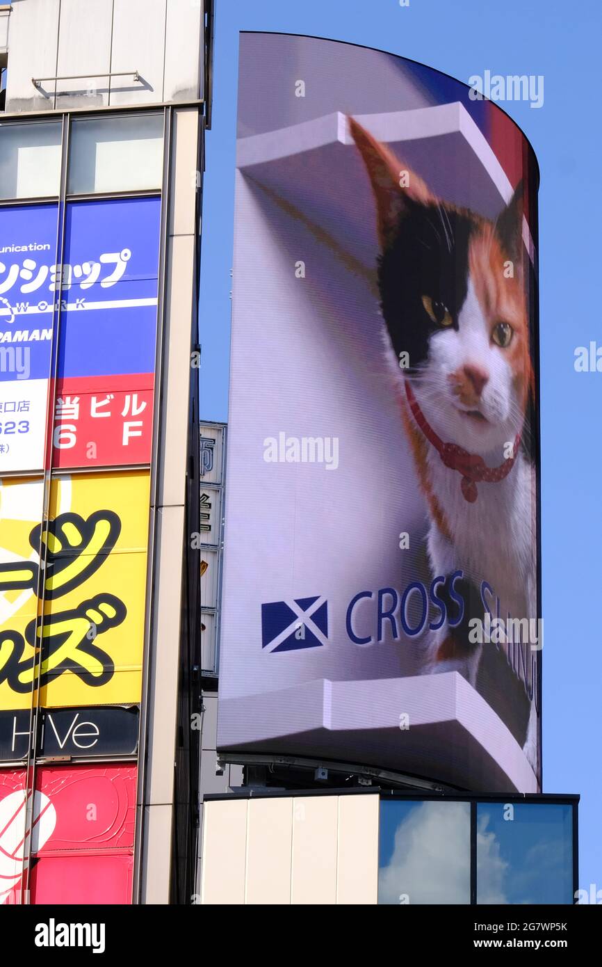 Tokio, Japan. Juli 2021. Eine riesige Katze erscheint auf Shinjuku's 3D-Plakatwand.im geschäftigen Einkaufs- und Geschäftsviertel Shinjuku in Tokio wurde eine riesige 3D-Katze auf einer 4K-Plakatwand gezeigt, um die Menschen zu begrüßen. „Ich dachte, es war eine echte Katze“, sagt ein Fußgänger, der vorbeikam und Fotos machte. Einige Studenten sagen, dass die Katze wirklich niedlich und größer aussieht als das, was sie in den sozialen Medien gesehen haben. Kredit: SOPA Images Limited/Alamy Live Nachrichten Stockfoto