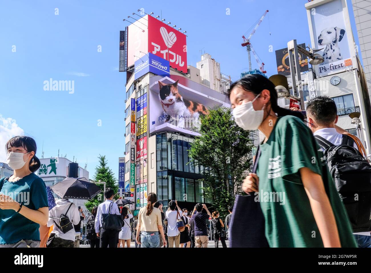 Tokio, Japan. Juli 2021. Eine riesige Katze erscheint auf Shinjuku's 3D-Plakatwand.im geschäftigen Einkaufs- und Geschäftsviertel Shinjuku in Tokio wurde eine riesige 3D-Katze auf einer 4K-Plakatwand gezeigt, um die Menschen zu begrüßen. „Ich dachte, es war eine echte Katze“, sagt ein Fußgänger, der vorbeikam und Fotos machte. Einige Studenten sagen, dass die Katze wirklich niedlich und größer aussieht als das, was sie in den sozialen Medien gesehen haben. Kredit: SOPA Images Limited/Alamy Live Nachrichten Stockfoto
