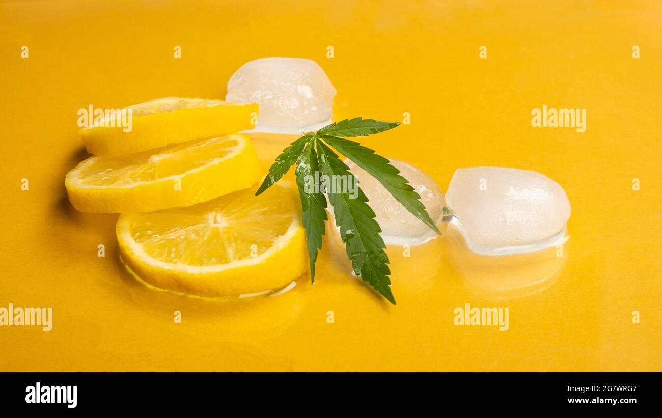 Kühlende Zitrone mit Marihuana-Geschmack und Eiswürfeln auf gelbem Hintergrund. Stockfoto