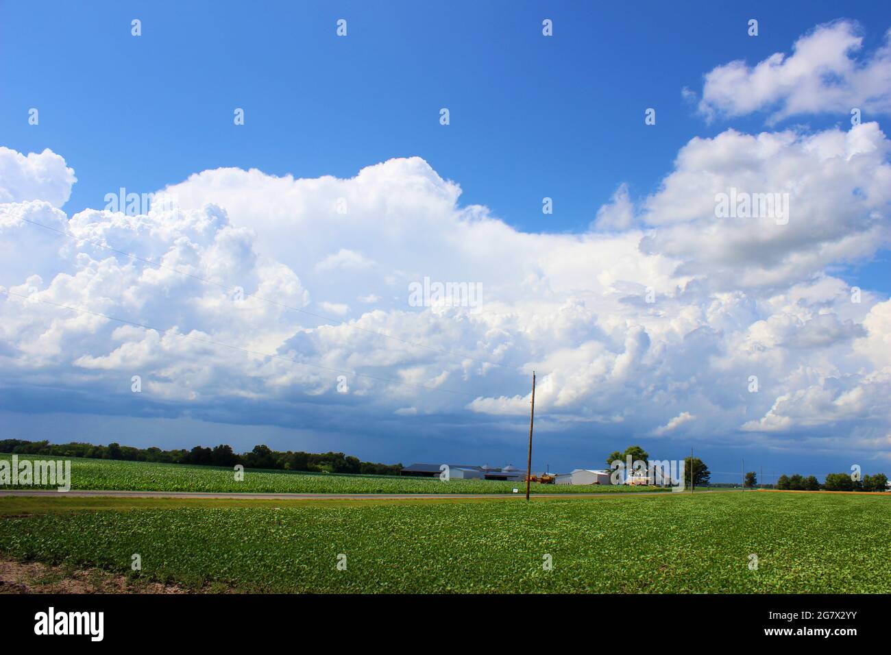 Aufragender Cumulonimbus-Sturm in einem offenen Feld Stockfoto