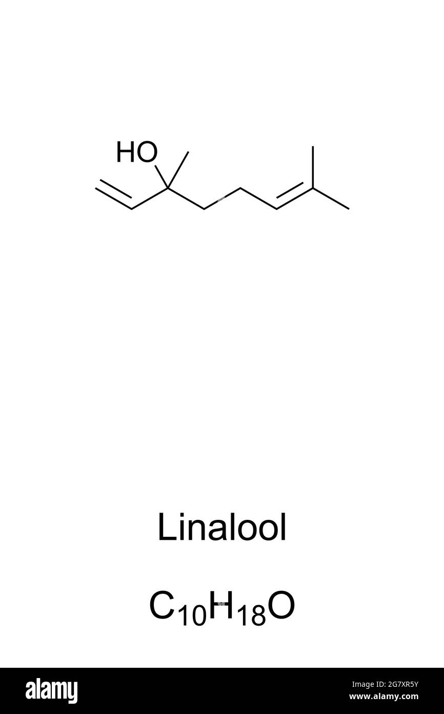Linalool, chemische Formel und Skelettstruktur. Organische Verbindung, in vielen Blumen und Gewürzpflanzen gefunden. Insektizid und weit verbreitet in Parfüms. Stockfoto
