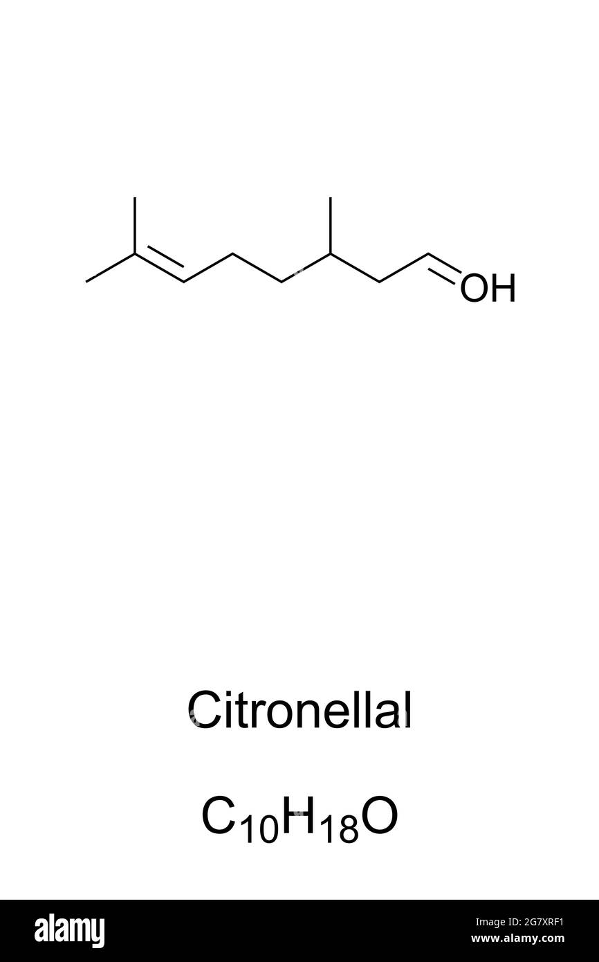 Zitronellale, chemische Formel. Auch rhodinale, organische Verbindung, Monoterpenoidaldehyd und Hauptbestandteil von Citronella-Öl. Stockfoto
