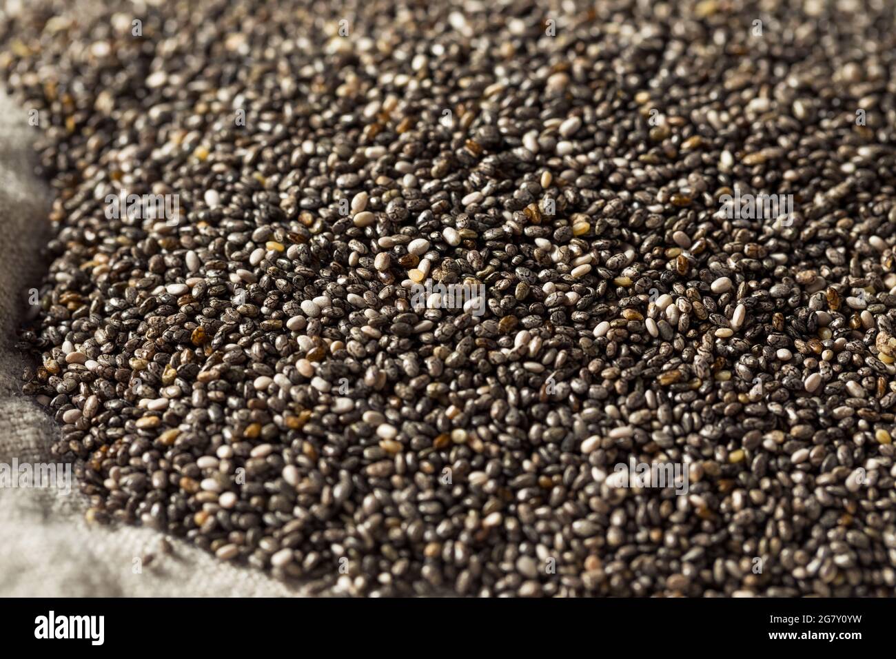 Hausgemachte gesunde Chia Samen bereit zu verwenden Stockfoto