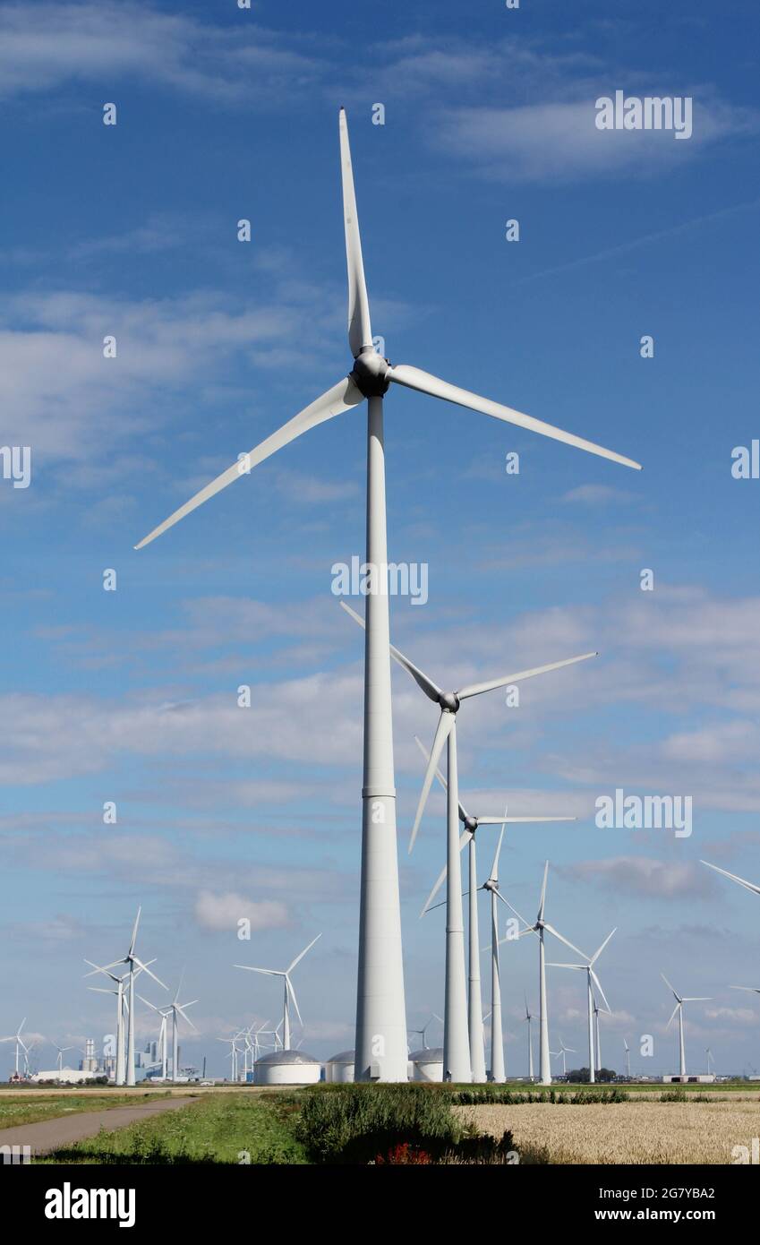 Sommeransicht der Landschaft und Multi-Fuel-Kraftwerk mit Windkraftanlagen in Eemshaven, in Groningen, Niederlande. Stockfoto