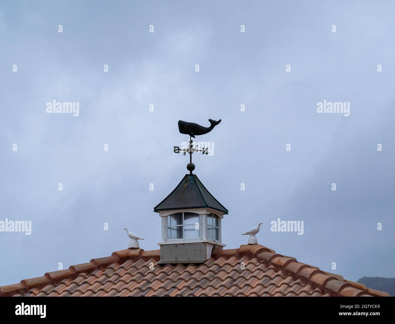 Wal geformte Windfahne Stockfoto