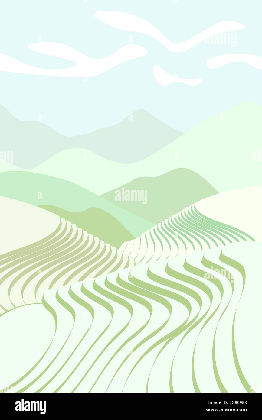 Reisfeld-Poster. Chinesische landwirtschaftliche Terrassen in der Berglandschaft. Neblige ländliche Farmlandschaft mit grünem Reisfeld. Terrassenförmig angelegte Bauernplantage. Asiatischer Agrarvektor eps Hintergrund Stock Vektor