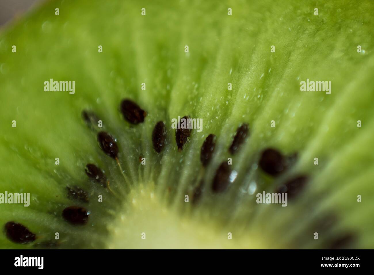 Makro einer grünen frischen Kiwi mit einigen schwarzen Samen Stockfoto