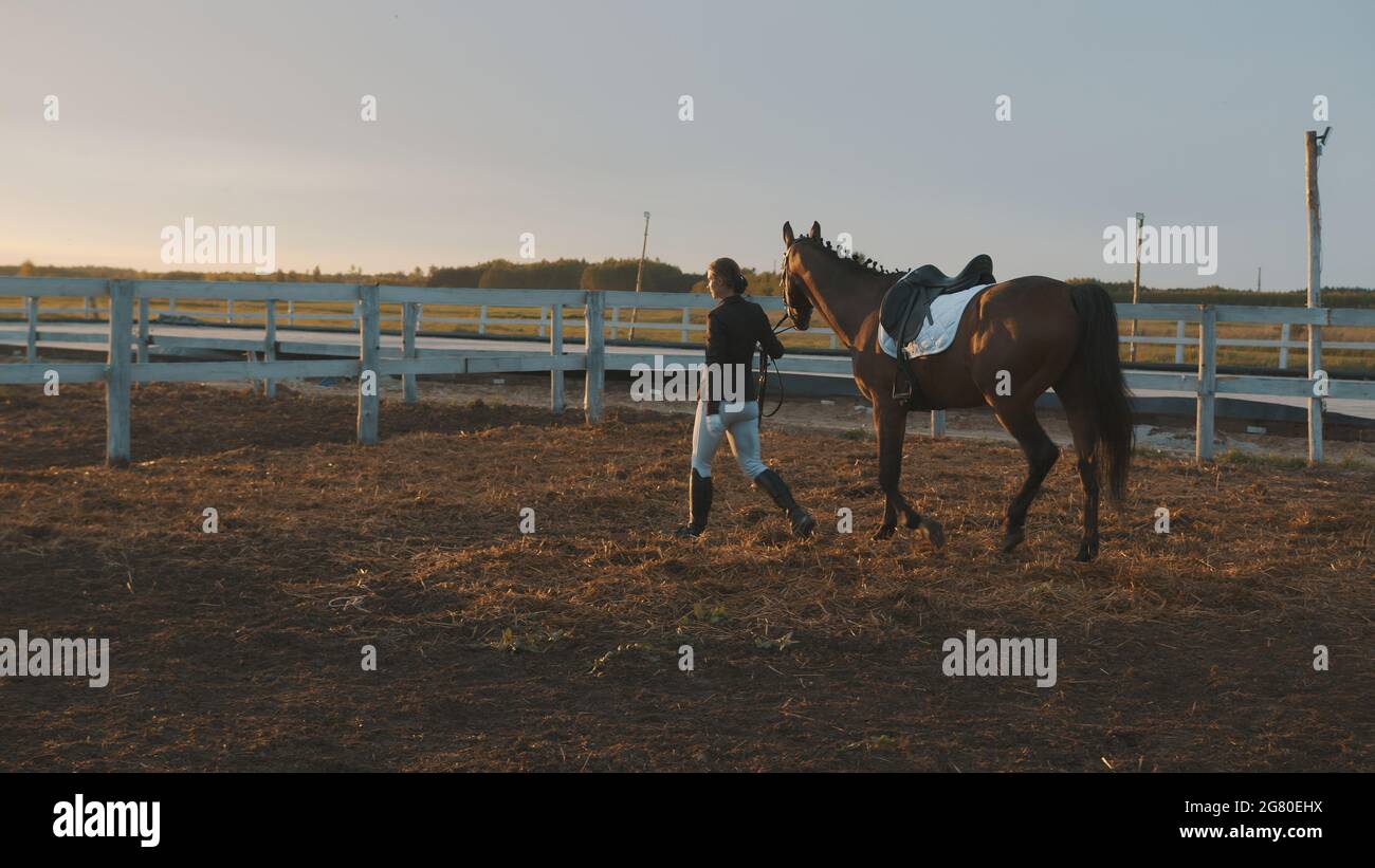 Weibliche Jockey mit ihrem dunklen Lorbeerpferd in der sandigen Arena mit einem Holzzaun. Mit ihrem Pferd während der Goldenen Stunde zu reiten. Reiten zur freien Verfügung. Stockfoto