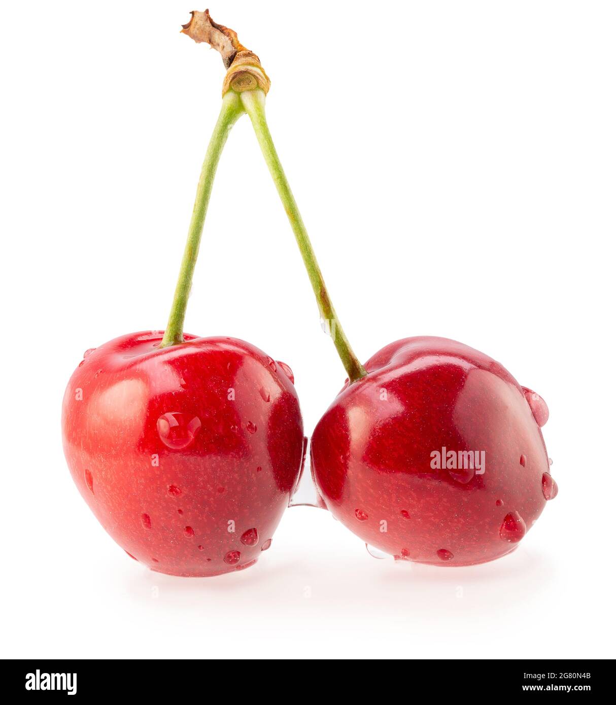 Rote Süßkirschen mit Wassertropfen isoliert auf weißem Hintergrund. Stockfoto