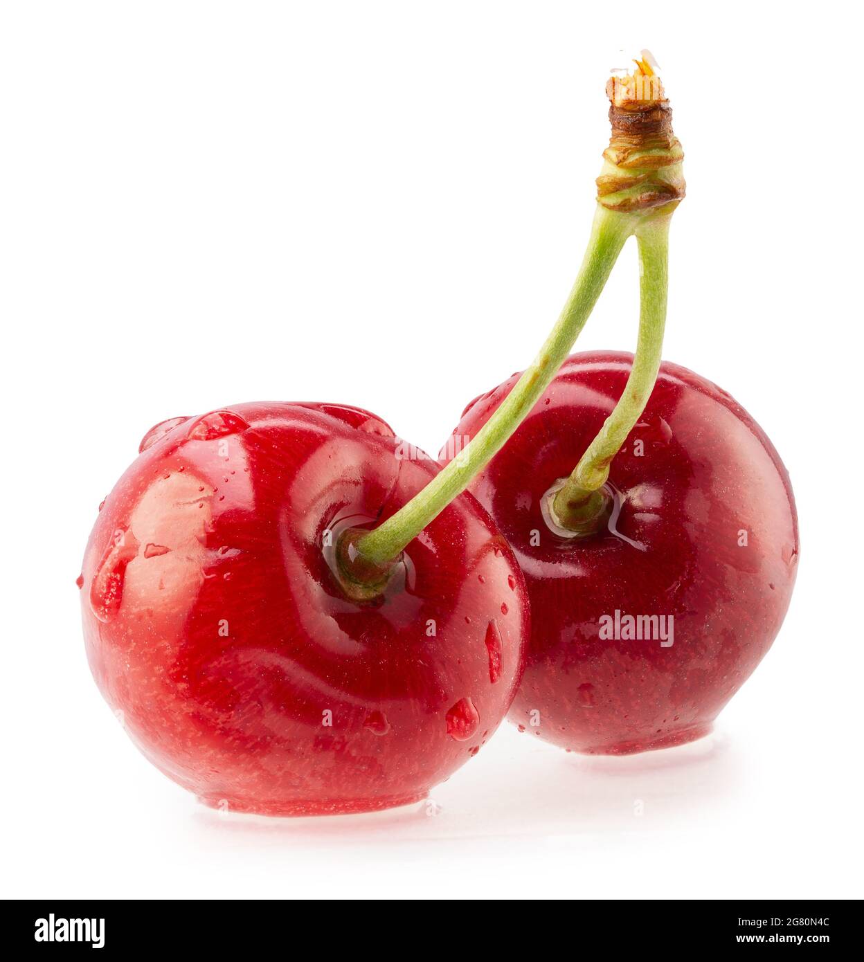 Rote Süßkirschen mit Wassertropfen isoliert auf weißem Hintergrund. Stockfoto