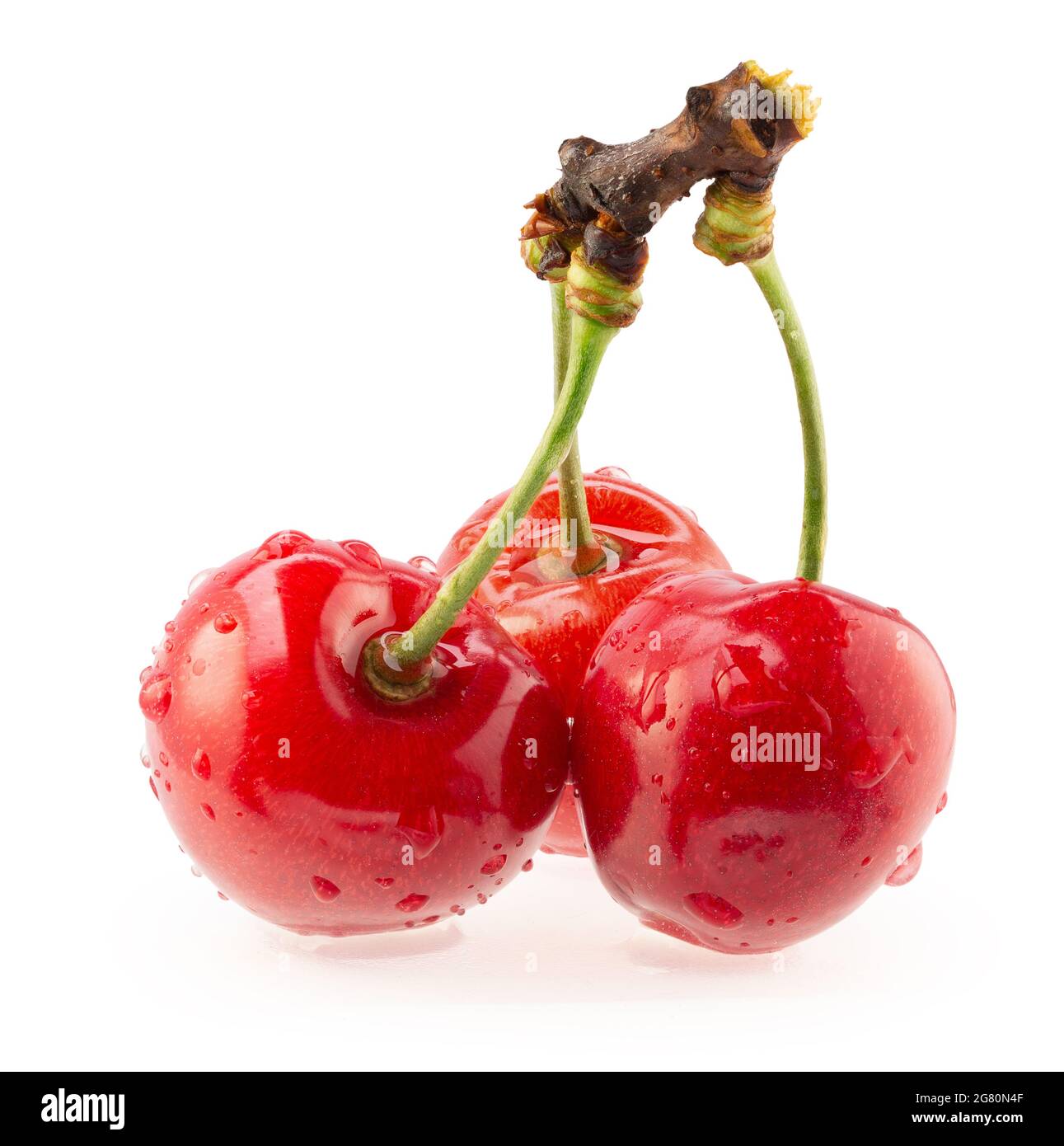 Rote Süßkirschen mit Wassertropfen isoliert auf weißem Hintergrund. Stockfoto