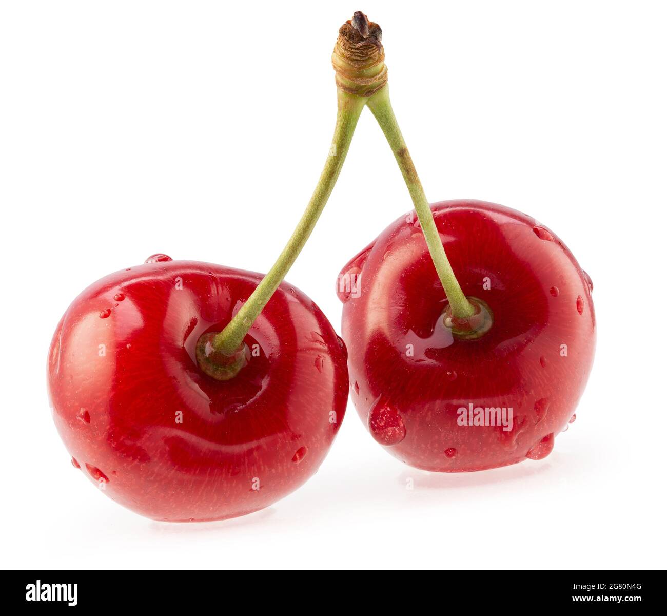 Rote Süßkirschen mit Wassertropfen isoliert auf weißem Hintergrund. Stockfoto