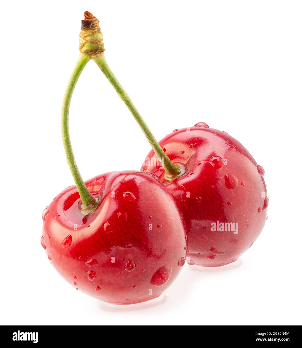 Rote Süßkirschen mit Wassertropfen isoliert auf weißem Hintergrund. Stockfoto
