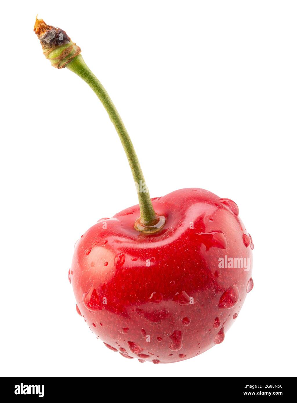 Rote Süßkirsche mit Wassertropfen isoliert auf weißem Hintergrund. Stockfoto