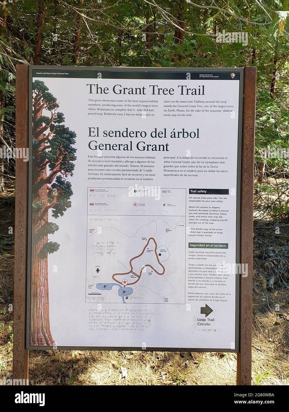 Informationstafel mit Karte der Grant Tree Trail Loop bei General Grant Grove im Kings Canyon National Park, Heimat des weltweit zweitgrößten Baumes nach Volumen. Stockfoto