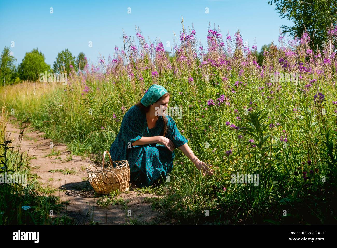 Junge Frau in volkstümlicher Bauernkleidung mit einem Weidenkorb einige wilde Pflanzen, Beeren oder Pilze auf der Wiese Stockfoto