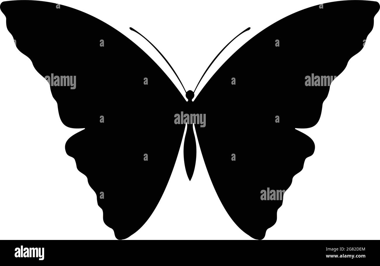 Farbige Schmetterlingsilhouette. Vorlage für den Druck, Vektorgrafik, Symbol. Schmetterling mit offenen Flügeln, Draufsicht Stock Vektor