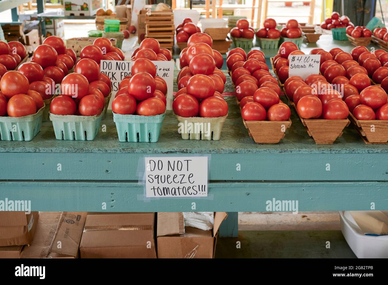 Farm frische Beefsteak Tomaten auf dem Display zum Verkauf in einem ländlichen Alabama Bauernmarkt oder Straßenmarkt in Montgomery Alabama, USA. Stockfoto